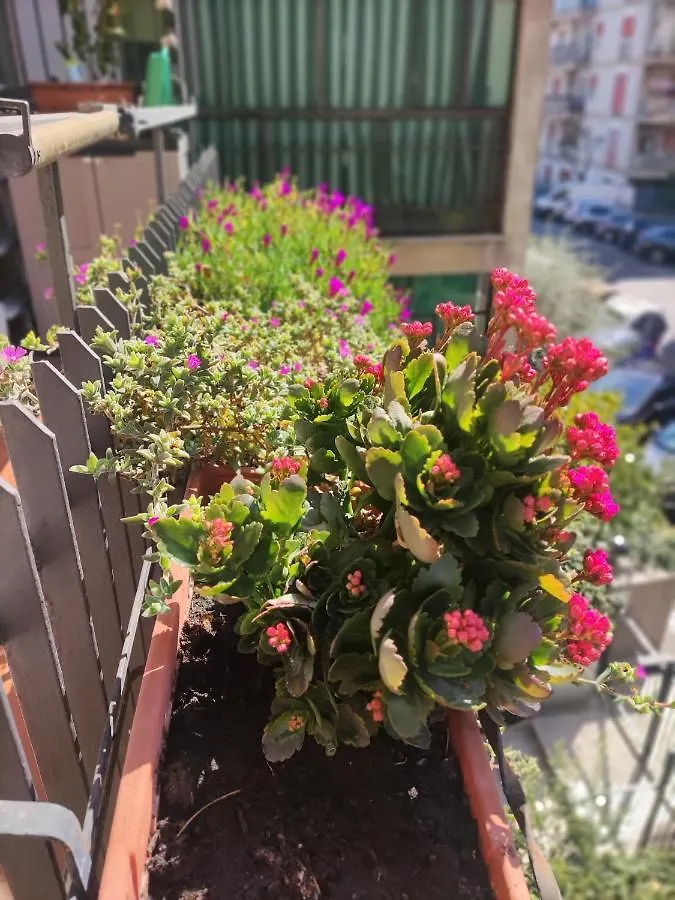 Appartamento La Casa Dei Nonni Roma